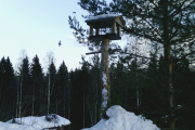 Knut 10 januar 2019 - To fugler i luften men han har ikke fikset klokken enda