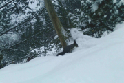 Knut 27 januar 2019 - Ekornet i Maridalen, ble en Ekorn dag dette men han har stilt klokka