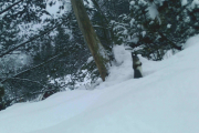 Knut 27 januar 2019 - Ekornet i Maridalen, der er jo Ekornet igjen