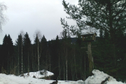 Knut 5 januar 2019 - Ekorn i Maridalen, men klokka er ikke stilt riktig