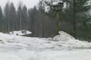 Knut 7 januar 2019 - Ekornet er en hyppig gjest hos Knut, her sitter den oppe på taket