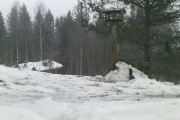 Knut 7 januar 2019 - Og vips så er den nede igjen, men det dukker opp noe til venstre bak snøhaugen også