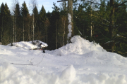 Knut 9 januar 2019 - Blir en aktiv dag dette her, er det Dompap vi ser?