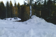 Knut 9 januar 2019 - Det er vel i skogen de trives best