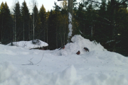 Knut 9 januar 2019 - Nå ser vi at været skifter litt