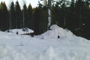 Knut 9 januar 2019 - Hvor mange teller vi?