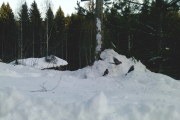 Knut 9 januar 2019 - Syns jeg kan se fem stykker