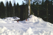 Knut 9 januar 2019 - Ikke bry dere om klokka, den er ikke stilt riktig enda