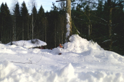 Knut 9 januar 2019 - Men vi har dem i riktig rekkefølge da