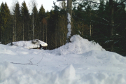 Knut 9 januar 2019 - Men se hvem som dukker opp her!