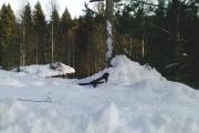 Knut 9 januar 2019 - Jaggu er det Skjæra, sjefen selv