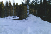 Knut 9 januar 2019 - Ligger nok noen godbiter her og der kjenner jeg Knut rett
