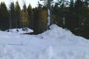 Knut 9 januar 2019 - Flere Dompaper borte ved kvistene