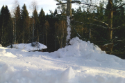 Knut 9 januar 2019 - Der sitter Ekornet på treet jo