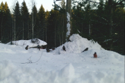 Knut 9 januar 2019 - Ikke dårlig, han avslutter dagen med syv Dompaper