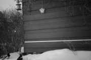 Morten 26 januar 2019 - Nå skal vi se hva som skjer her borte i kroken i dag