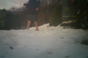 Morten 5 januar 2019 - Knut går naken, men jeg går halvnaken med kamera på magen