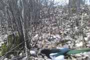 Knut 18 mars 2020 - Skjæra i Maridalen